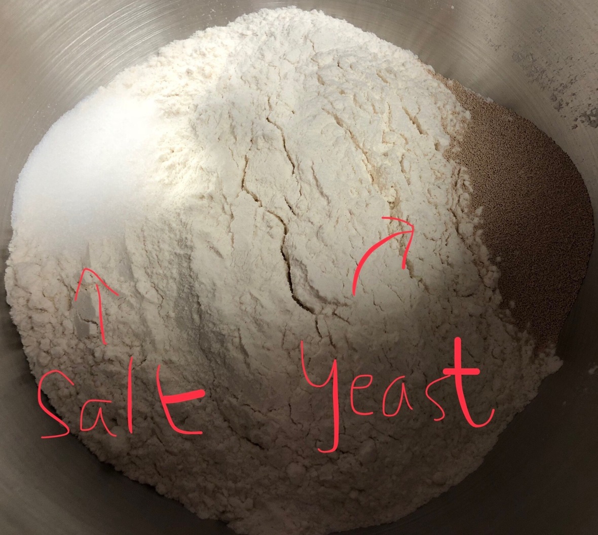 BDB Salt Yeast